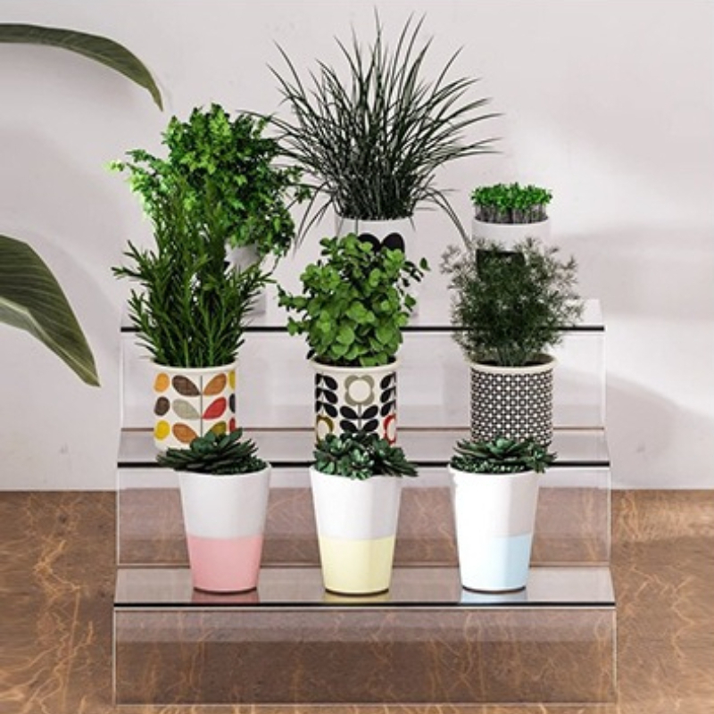 Expositor Artesanal Transparen - Shoe Box Display avaliação e preço